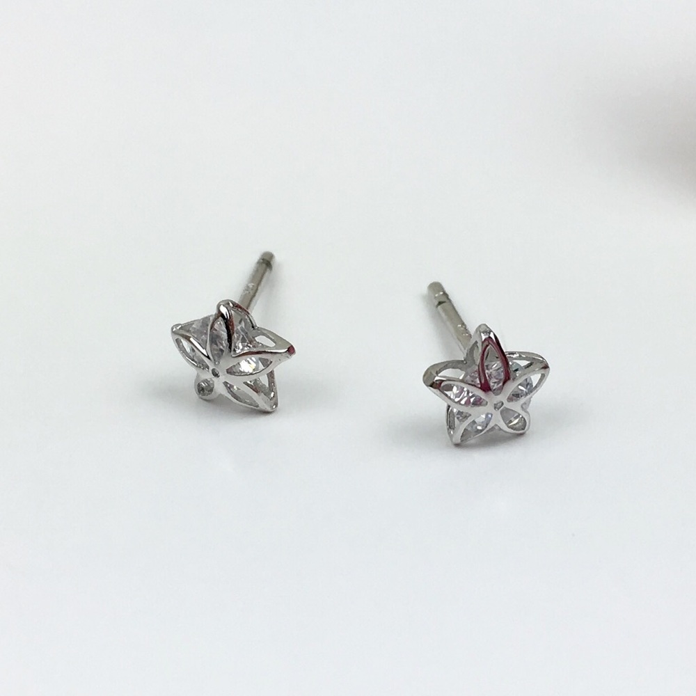 Tiny CZ Star Stud Earrings ⭐️